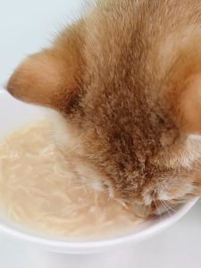Snack Minuman Kucing NICE SERIES Cat Drink Chicken Tuna Soup 85gr seperti MINKAS DRINK