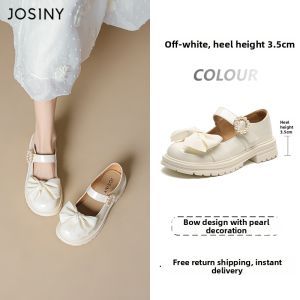 Josiny | Thick Heel Mary Jane Womens Shoes Summer Princess Lolita Style