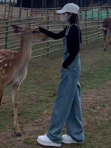 Spring Autumn New Design High-Waist Slimming Wide-Leg Denim Pants for Women Korean Style Loose Fit Work Clothing