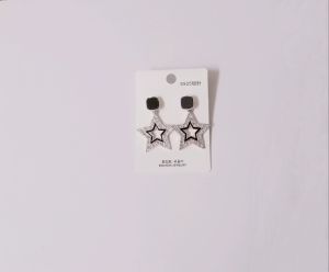 Star Drop Hook Earrings