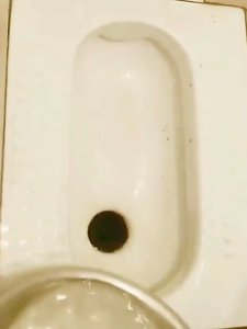 💦 1 Spray Clean Toilet 💦 Oxalic Acid Solution Toilet Cleaner 500ml Bathroom Cleaner