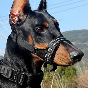 Dog Tactical Mouth Cover Training Equipment Bite Proof Howl Proof Large Breed Working Dogs Training Gear Leather Material