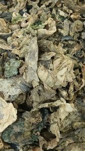 昆布 100g khumbu kelp 洗水昆布