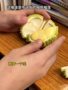 JoyToy Mainan Buah Yang Dapat Dikupas Game Memotong Buah Dan Sayur Mainan Dapur Simulasi Makanan