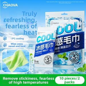 CHAOYA | Cooling Ice Patches