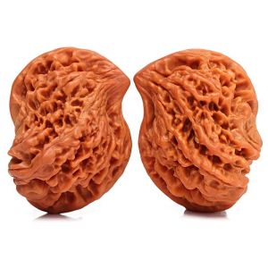 Đồ Chơi Gỗ Quả Óc Chó Hình Con Chim Nhảy Cao Đồ Chơi Thủ Công Độc Đáo Hiện Đại Xu Hướng Đồ Trang Sức Thời Trang Trung Quốc