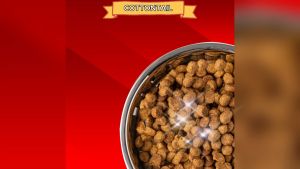 Makanan Kucing Maxi Cat Food Chicken Tuna Catfood Repack 500gr