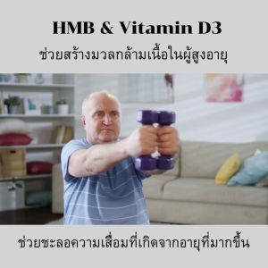 ส่งฟรี โปรตีนเม็ด เพิ่มกล้าม สร้างกล้าม เบริ์นไขมัน กิฟฟารีน เอช เอ็ม บี HMB Giffarine ผู้สูงวัย นักกีฬา