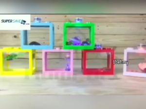 Small Black Betta fish Mini Aquarium Fighting Cylinder Rumble LED Building block fish tank Spider Marimo