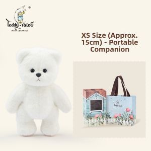 TeddyTales | Handmade Cute Teddy Bear Plush Toy