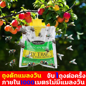 เครื่องดักแมลง จับ1ถุงต่อครั้ง ที่ดักแมลงวันทองกับดักแมลงวันทอง ภายใน1000เมตรไม่มีแมลงวัน กับดักแมลงวันผลไม้ แผ่นดักแมลงวัน สารล่อแมลงวันทอง น้ำยาล่อแมลงวันทอง สารล่อแมลงทอง ยากำจัดแมลงวันทอง สารล่อแมลงวันทองตัวเมีย ถุงดักแมลงวัน