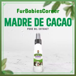 Madre De Cacao Pure Oil Extract 100mL Healing Oil Anti Mange Anti Bacterial Anti Fungal W/ GuavaNeem & VCO