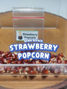 Benih Jagung Strawberry Popcorn Unggulan Berkualitas bibit biji repack jagung strawberi hidroponik hydroponik
