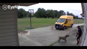 NEW 2024 | CAMERA Năng Lượng Mặt Trời PTZ 4G Full 8KCamera Ngoài Trời 8MPTấm Pin Năng Lượng Mặt TrờiPIR Âm Thanh Hai Chiều 4GCamera PTZ 30M Camera Quan Sát camera An Ninh Hỗ Trợ Pin 18650