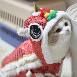 Hateli quần áo cho chó Lễ Hội Mùa Xuân Áo khoác cho mèo Mùa Đông Puppy Kitten Trang Phục Vật Nuôi Sư Tử quần áo khiêu vũ Cho Nhỏ chó lớn và trung bình Năm Mới Áo Khoác