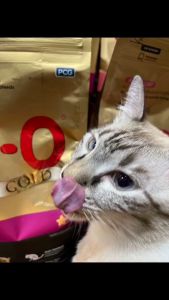 เลือก 1.5-3 กิโล SmartHeart Gold Fit & Firm และ Fit & Firm 7+ อาหารสุนัขพันธุ์เล็กและพันธุ์โต