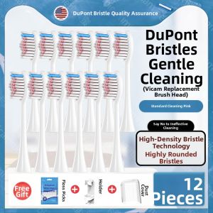 Universal Replacement Soft Bristle Brush Heads for Electric Toothbrush Kiwibird Cleaning Deep Clean Nylon Bristles Standard Type