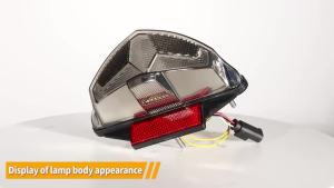 E24 Mark LED Tail Light for BMW F6500GS F800R F800S F800ST R1200GS Rear Led Taillight Stop Brake Turn Signal Lamp 12V