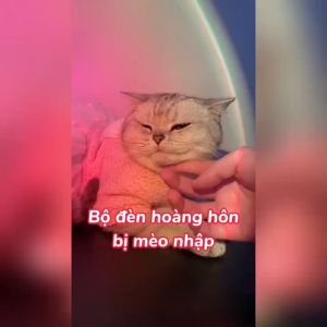 Đèn led hoàng hôn 16 màu Đèn led trang trí sunset rose để bàn mini chụp ảnh sống ảo trang trí phòng ngủ