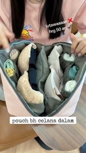 Pouch Organizer Bag Praktis untuk Underwear: Keunggulan Produk OMYGOOSE