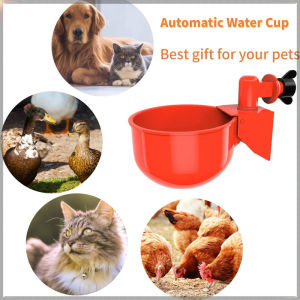 Automatic Chicken Water Cup Poultry Drinking Bowl Quail Nipple Waterer Bowl Farm Coop Poultry Drinking Water Feeder