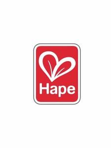 Hape | Educational Wooden Xylophone and Mallet Set for Kids