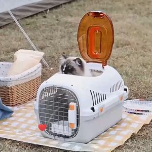 Pet Cat Carrier Cat Cage Portable Travel Kennel Bag Sangkar Kucing Raga Kucing Bekas Kucing
