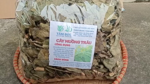 1kg cây muồng trâu sấy khô hữu cơ