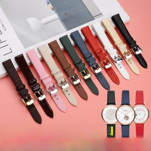 Fit Armani Amani Starry Sky Ar1926 Cowhide Watch Strap Ferris Wheel DW Womens Leather Watch Chain 14mm