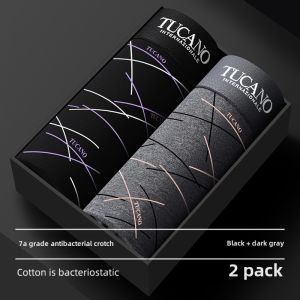 Luxury Cotton Mens Underwear Antibacterial mid Waist Briefs Youth Comfortable Breathable Flat Angle Pants Home Clothes