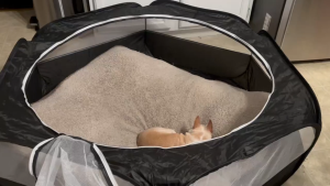 Teeker Pet Playpen Foldable Tube & Playpen Toy Play Tunnel Tent House Dogs Playtube Scratchproof Boredom Pet Indoor Entertainment Toy