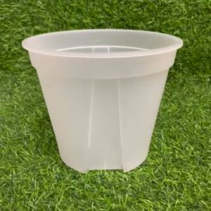 Transparent Lava Pot: A Unique Indoor Plant Container