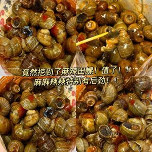 Spicy Snail Shells Ready to Eat Explosive Flavor Spicy Snack Perfect for Accompanying Alcohol Hunan Specialty Seafood Treat