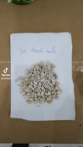 SỎI ĐỠ DÙNG TRONG LỌC NƯỚC TRANG TRÍ BỂ CÁ (túi 1kg) (Nhập mã MYHA2023 để được giảm 6% cho đơn hàng trên 200k )