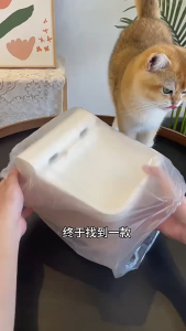 JAERSENT Pet water dispenser intelligent electric cat circulation water dispenser automatic wireless large capacity induction filtration water dispenser