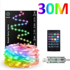 Smart LED String Bluetooth APP Control RGBIC Fairy Lights Waterproof USB Music Dream Color Light Party Room Decoration