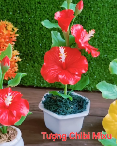 Chậu hoa Dâm Bụt bằng đất sét Nhật tự khô cao cấp