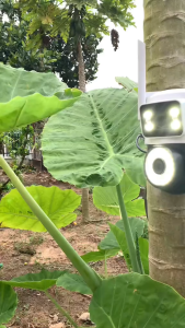 Camera yoosee 2 mắt ngòai trời chống nước xoay 360 phân giải 15MP