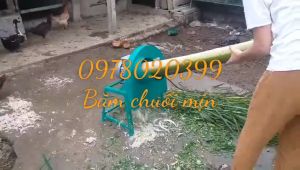 Dao máy băm cây chuối    các loại rau mềm