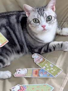 30PC Bookmark Cat/rabbit Bookmark School Office Supplies Bookmark Aesthetics Bookmark Unique