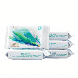 SHI YUE JIE JING | Convenient Portable Wet Wipes For Personal Hygiene