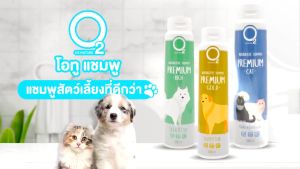 O2 Shampoo Premium Cat & Kitten แชมพูสำหรับแมว กำจัดเชื้อรา หอมยาวนาน