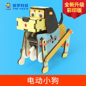 DIY Electric Dog Toy Kit Handmade Science Experiment Material Package Small Invention Technology Mini Project for Kids