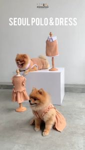 Seoul Polo - Baju Kucing dan Baju Anjing POMAPOO Premium Berkualitas