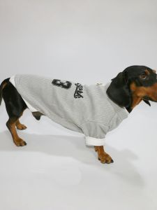 Warm Knitted round Neck Pet Clothes for Small to Medium Dogs And Cats Spring Autumn Seasonal Special Needs Outdoor Casual Style