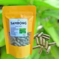 SAMBONG CAPSULES 100mg 100 pcs. 
