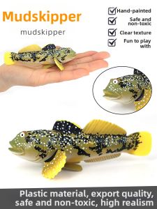 Simulated Piranha Carp Mudskipper Pufferfish Carp Toy Models