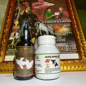 PAKET PRO 18 JAMU AYAM TGI KAPSUL + IMUNO MULTIVITAMIN & SUPLEMENT AYAM LAGA PAKET PERAWATAN AYAM ADUAN TERBAIK AGAR MEMILIKI IMUNITAS TUBUH  KUDA-KUDA SERTA SAYAP YANG KUAT