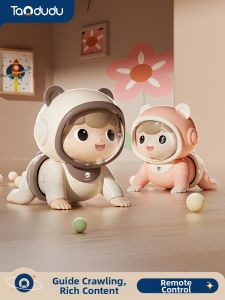 TAODUDU | Early Education Intellectual Development Toy