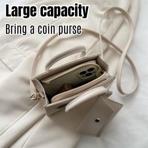 Small Square Bag Straw Bag Popular Fashion Handbag